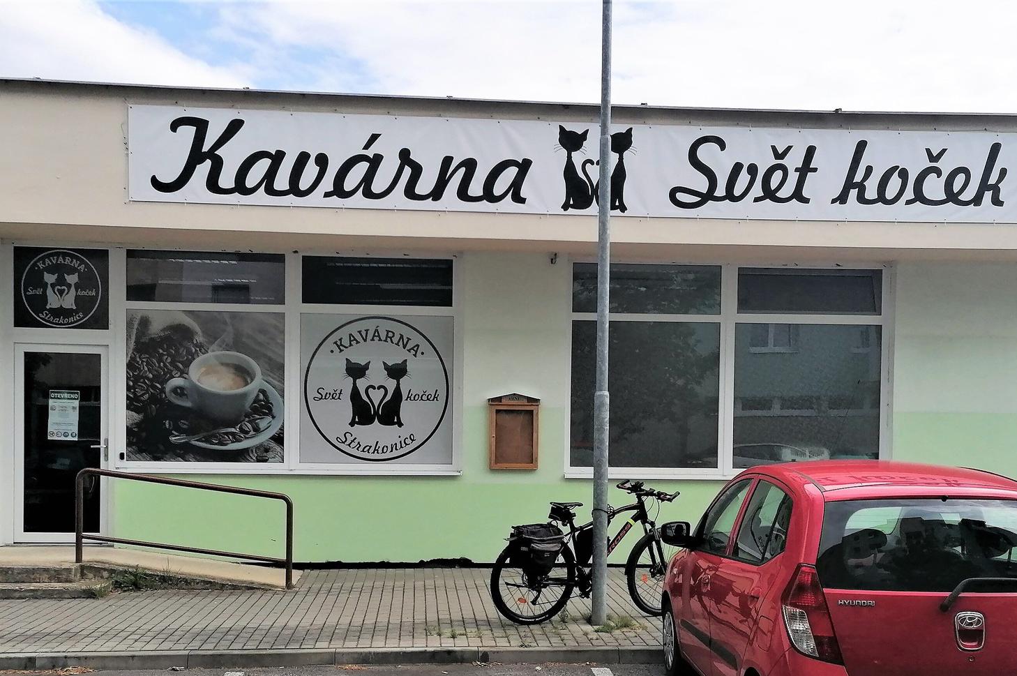 Kavárna svět koček