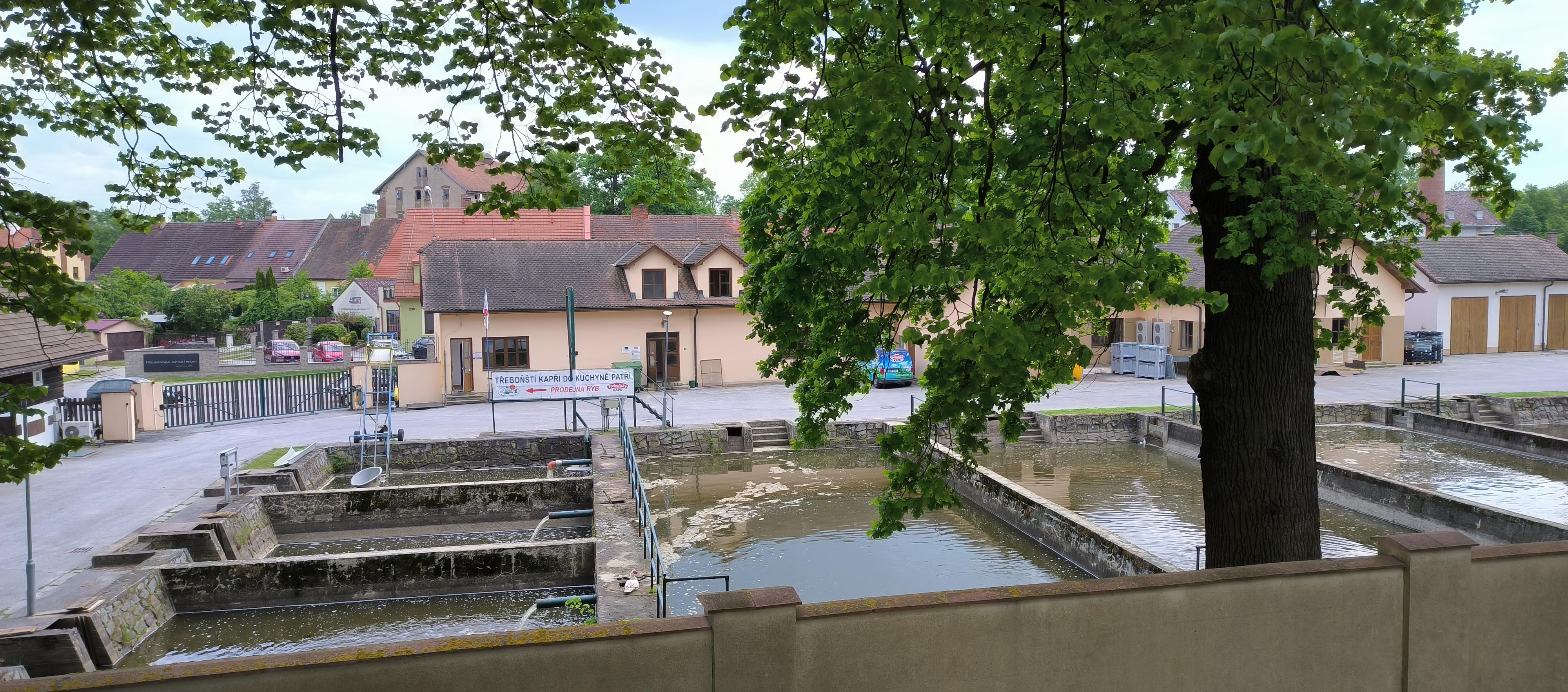FISH MARKET, a.s. foto 3