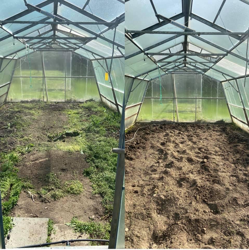 Synátoři - zeleň a zahrady foto 3