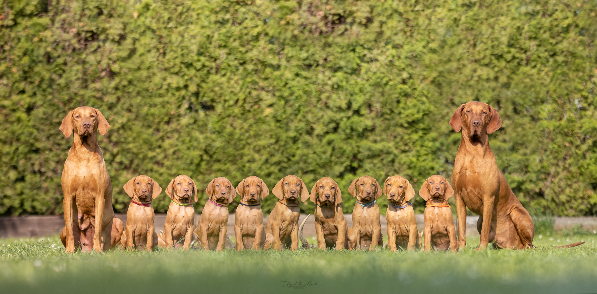 Zlatnictví Jitka Kubátová foto 3