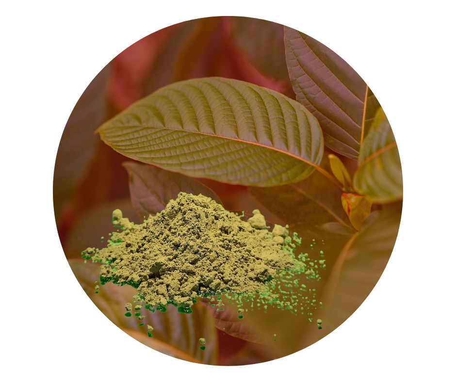 GREEN Healthy Balance by RK foto 3