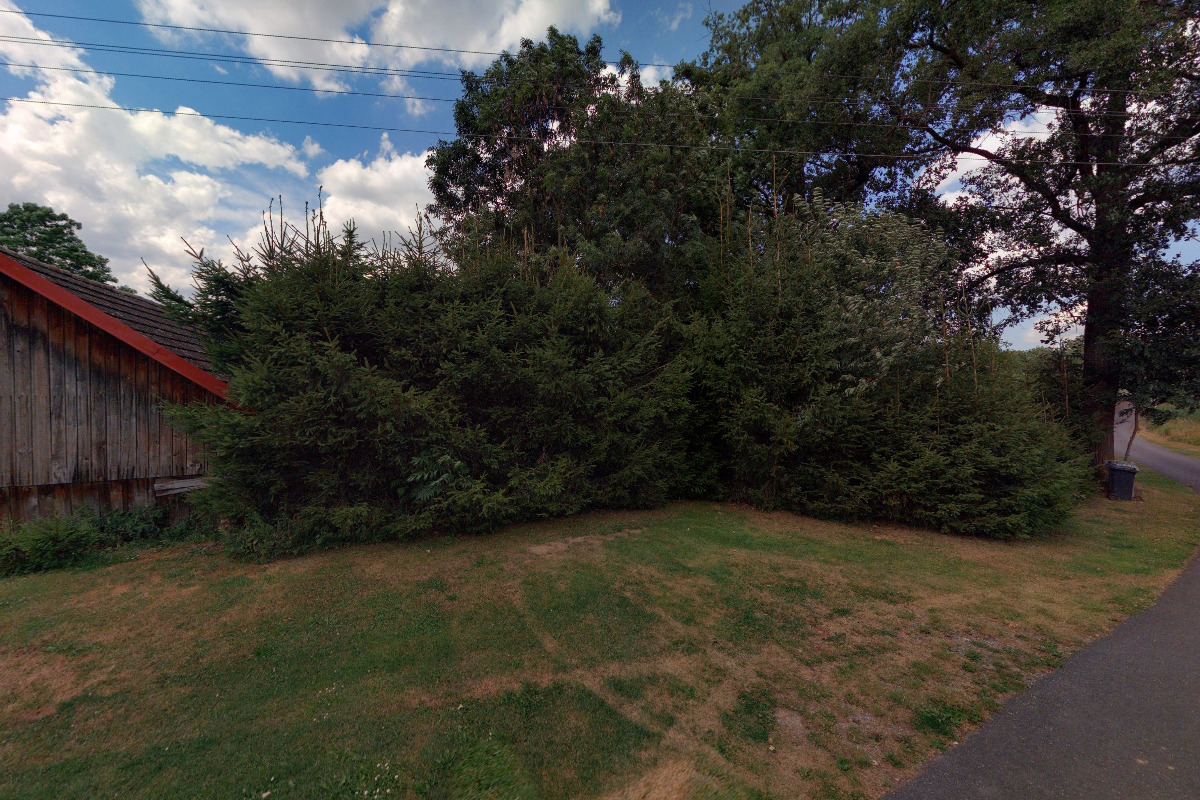 Českomoravská federace naturistů