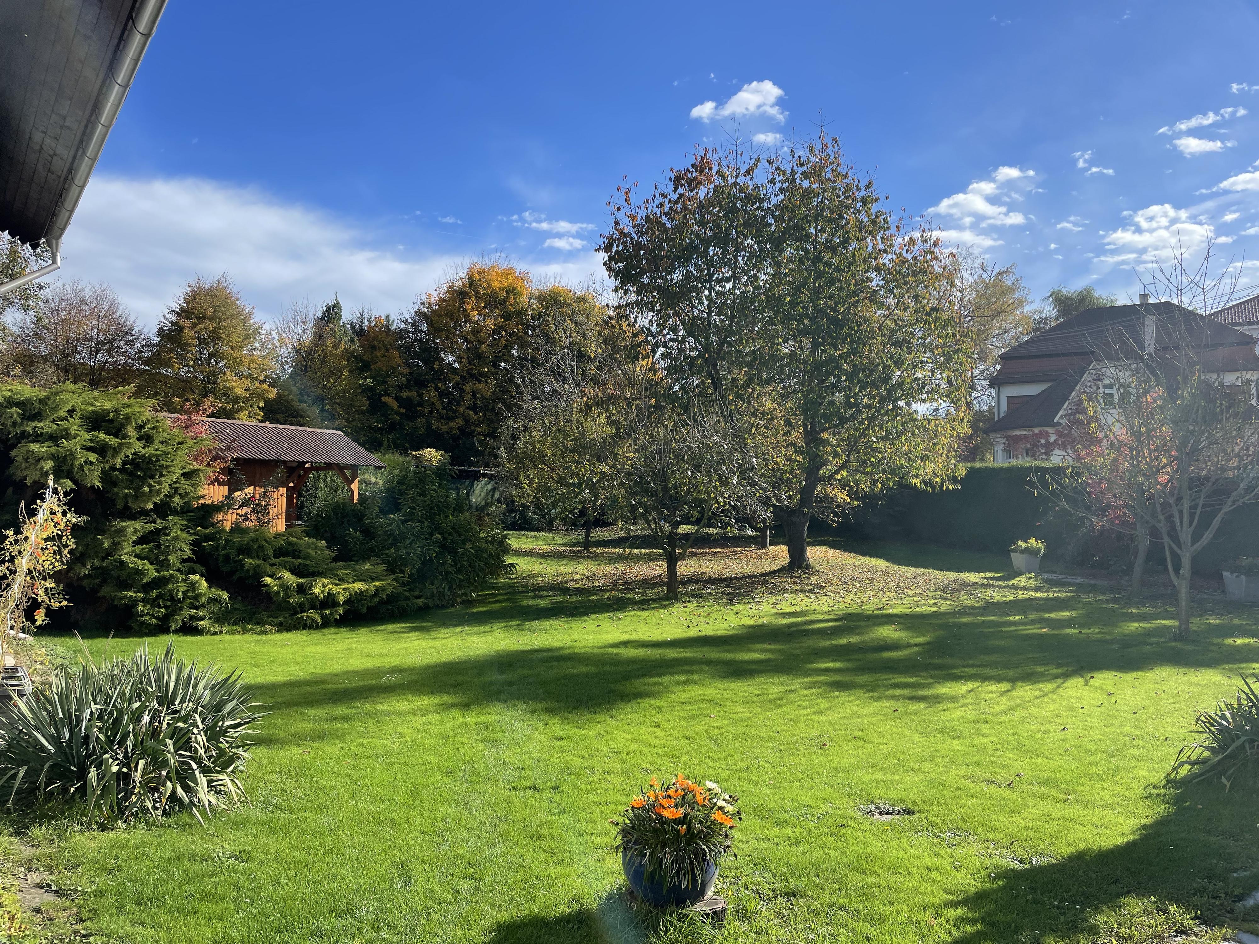 Mgr. Helena Robbová - Výuka jazyků foto 2