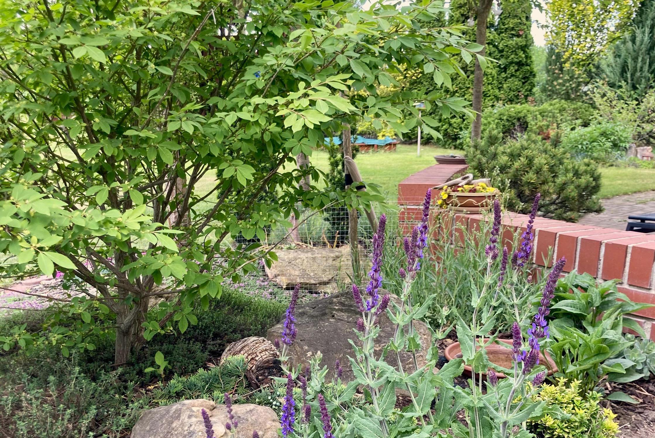 Návrhy zeleně Ing. Petra Jančurová, DiS.