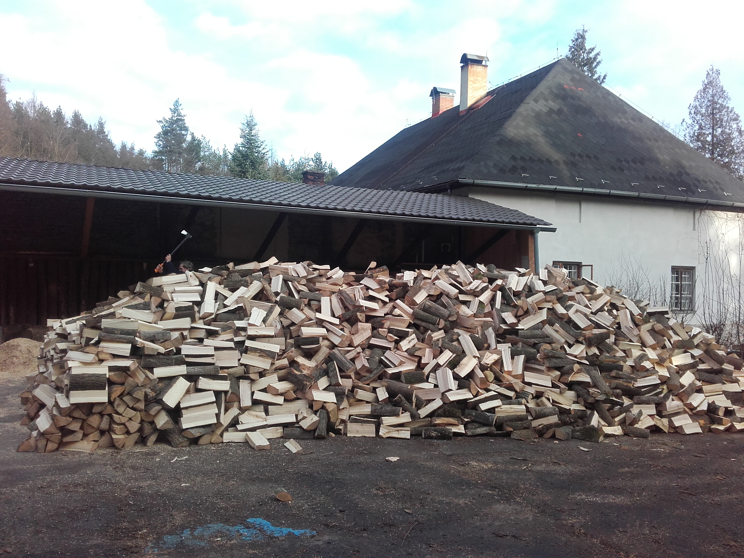 Městské lesy Český Brod