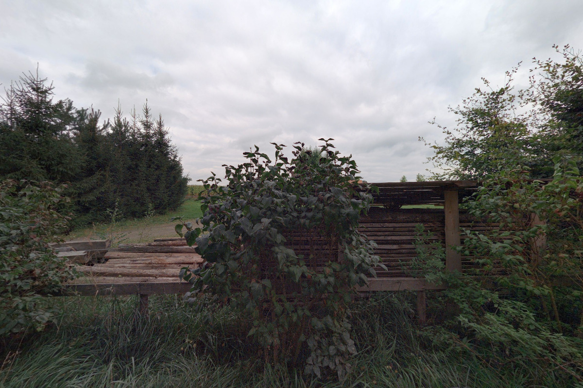 Léto v kukuřici - občerstvení foto 1