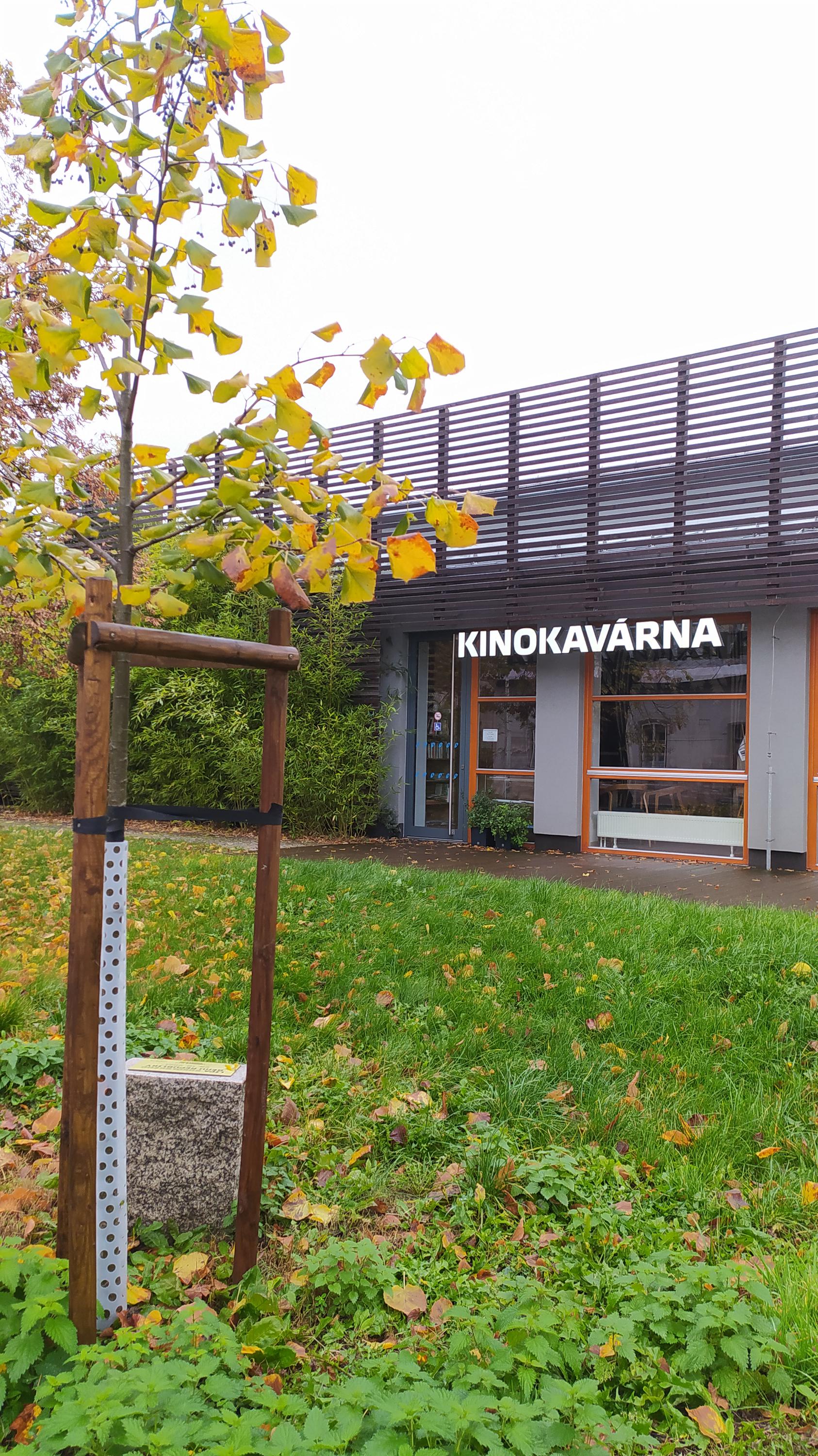 KinoKavárna