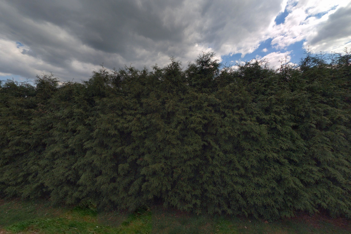 Zahradnictví Valinová foto 5