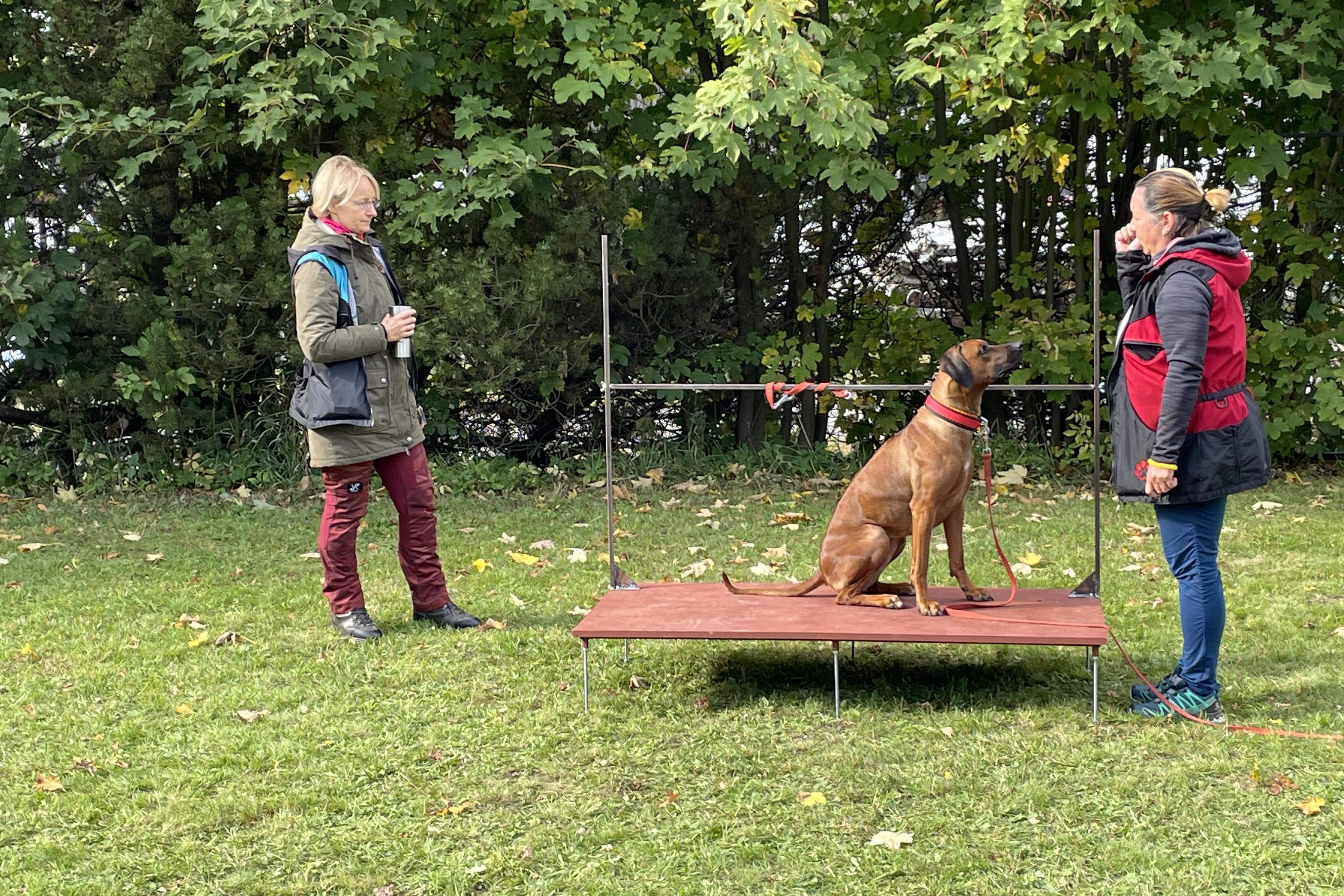 Výcvik psů Bělá - Ing. Jiřina Hanušová foto 1