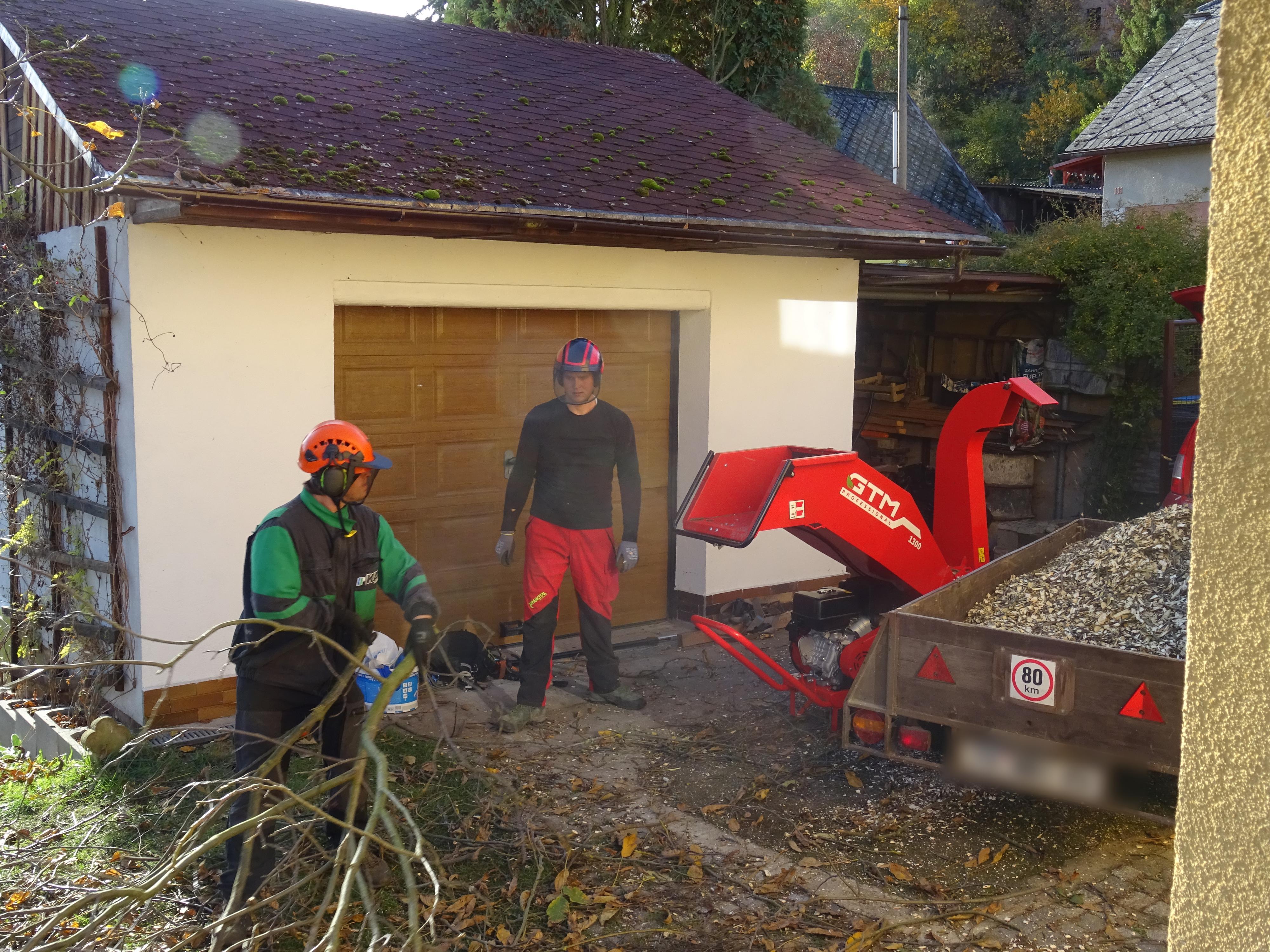 NaStromy - Odborná péče o dřeviny foto 6