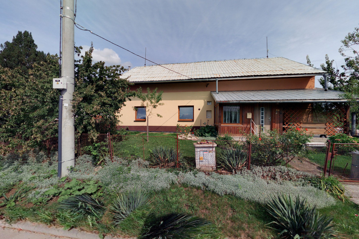 Stříhání psů - Romana Otavová foto 2