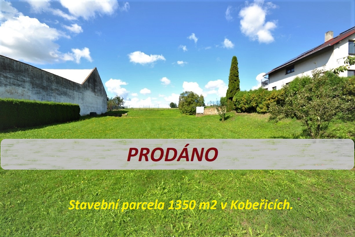 Homola Jan - Homola reality foto 4