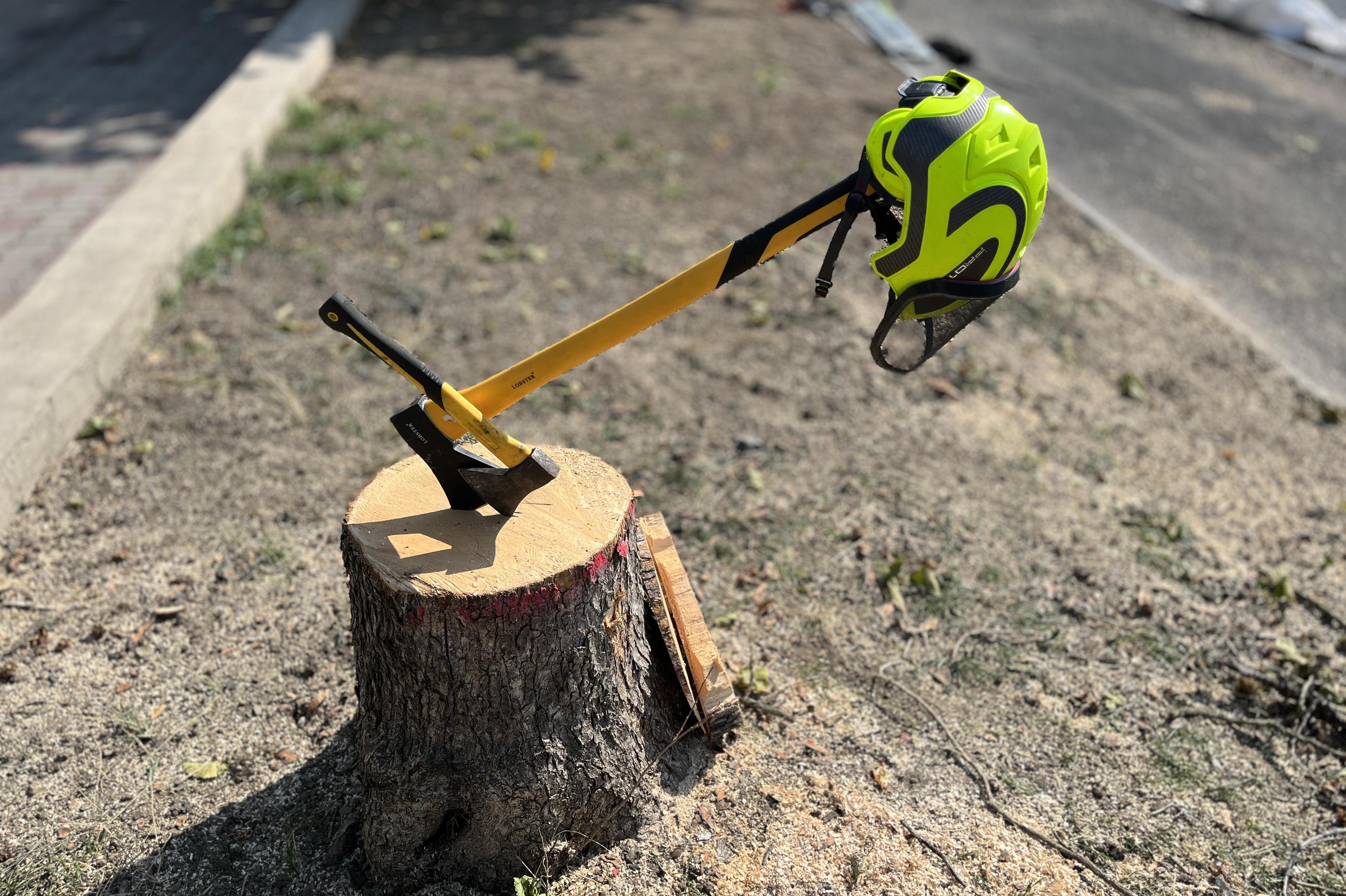 Rizikové kácení - Jakub Holeček