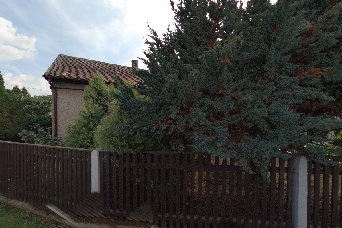 Pěstování obilí - Ing. František Turek foto 1