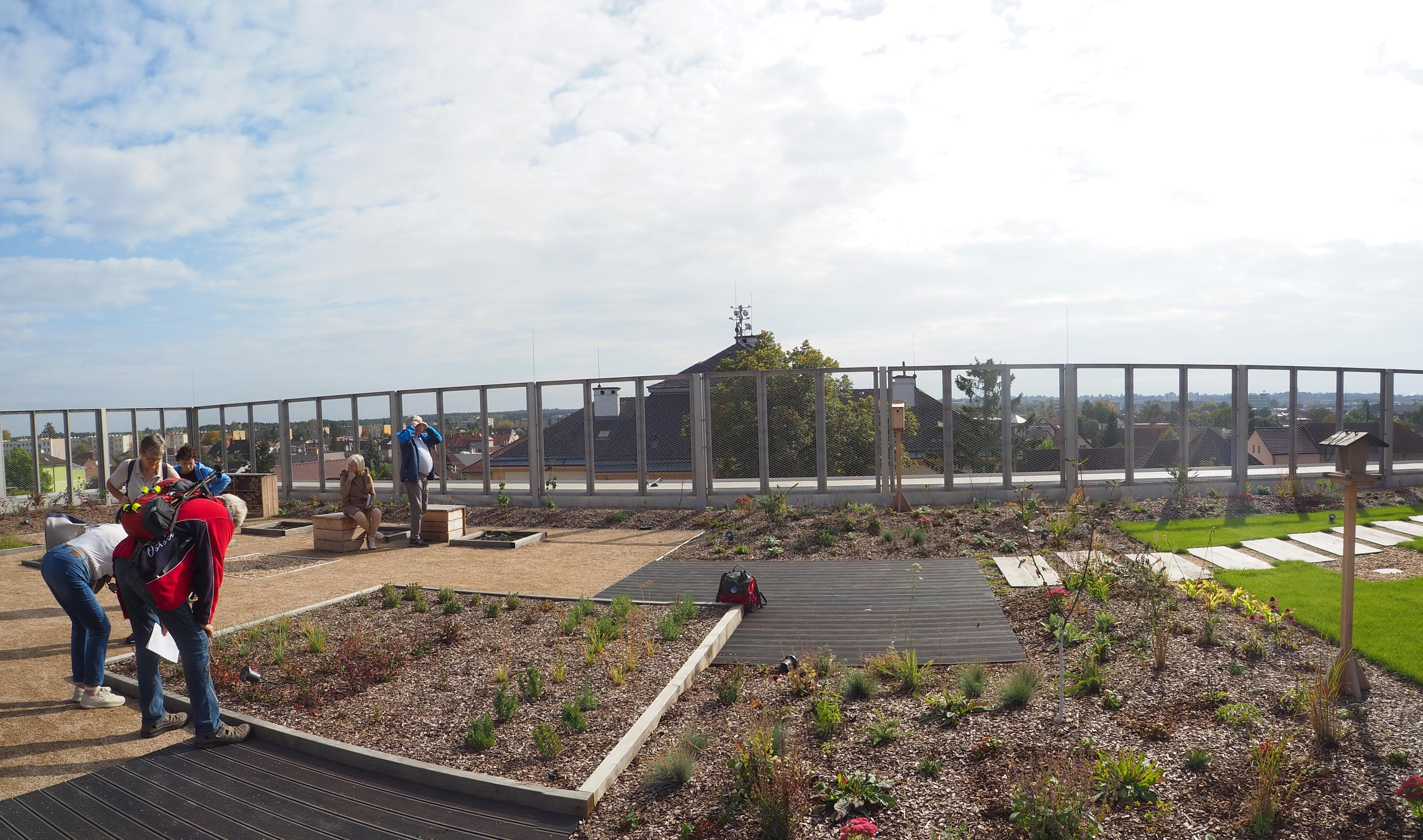 ZŠ a MŠ Hradec Králové, Úprkova 1 foto 4