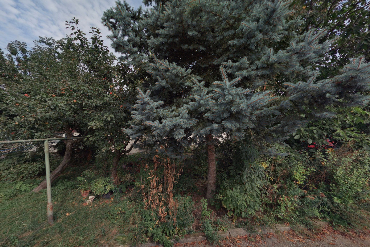 ZTS Jindřichův Hradec, s.r.o. foto 2