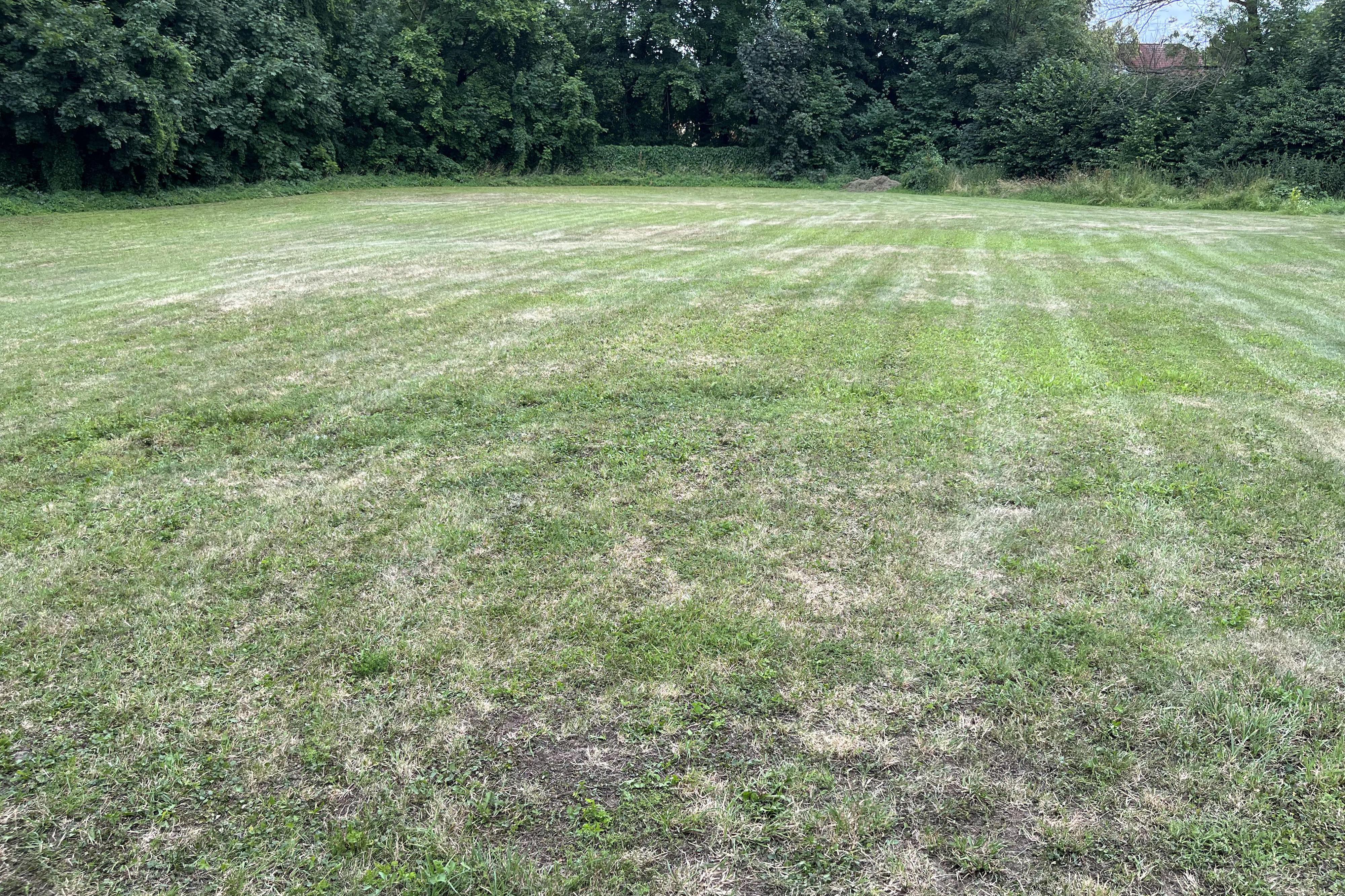 Bc. Milan Šesták - údržba zeleně