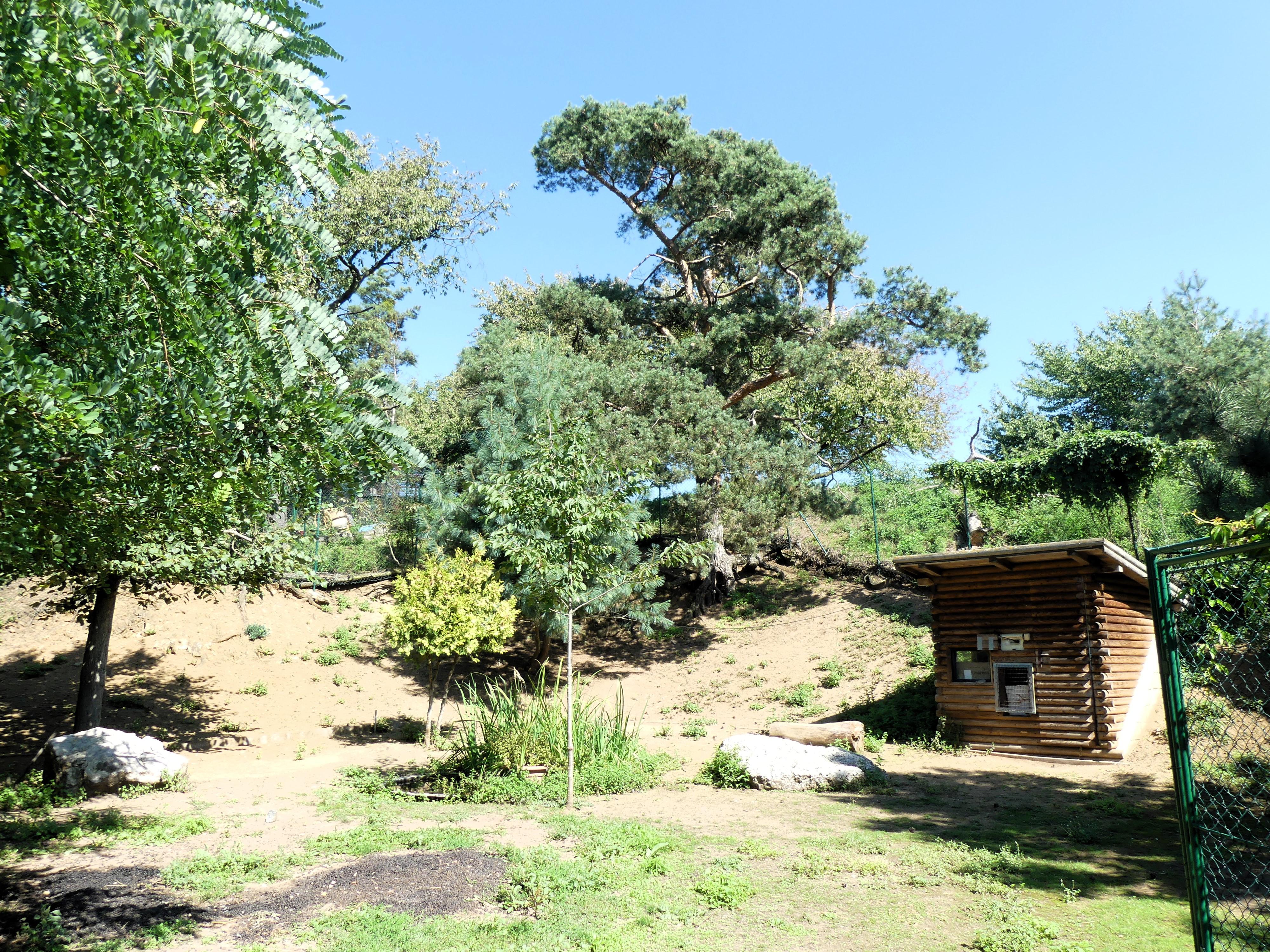 Minizoo - Šelmy, kočky, koťata foto 4