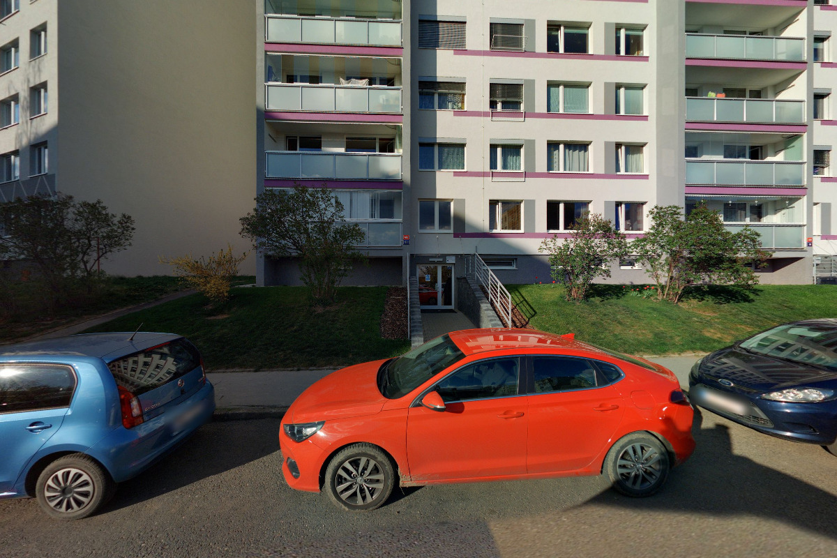 Malířství Josef Radouš