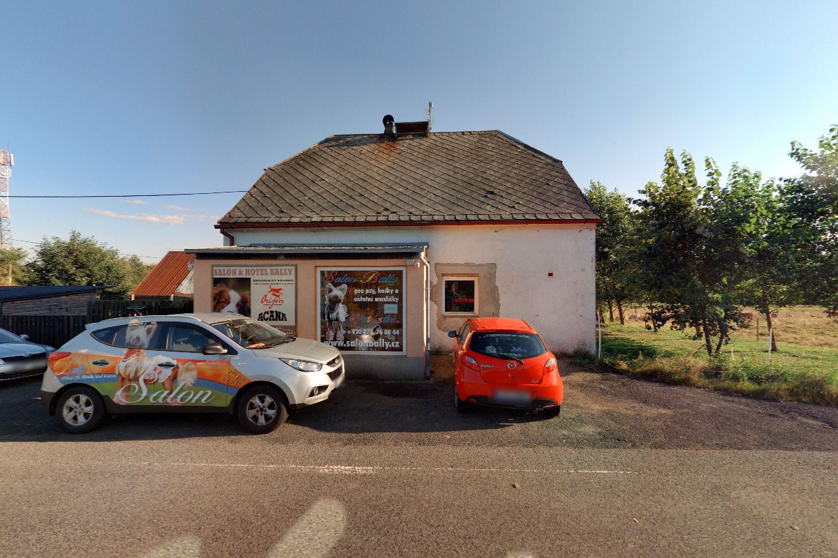 Salon & Hotel Bally foto 3