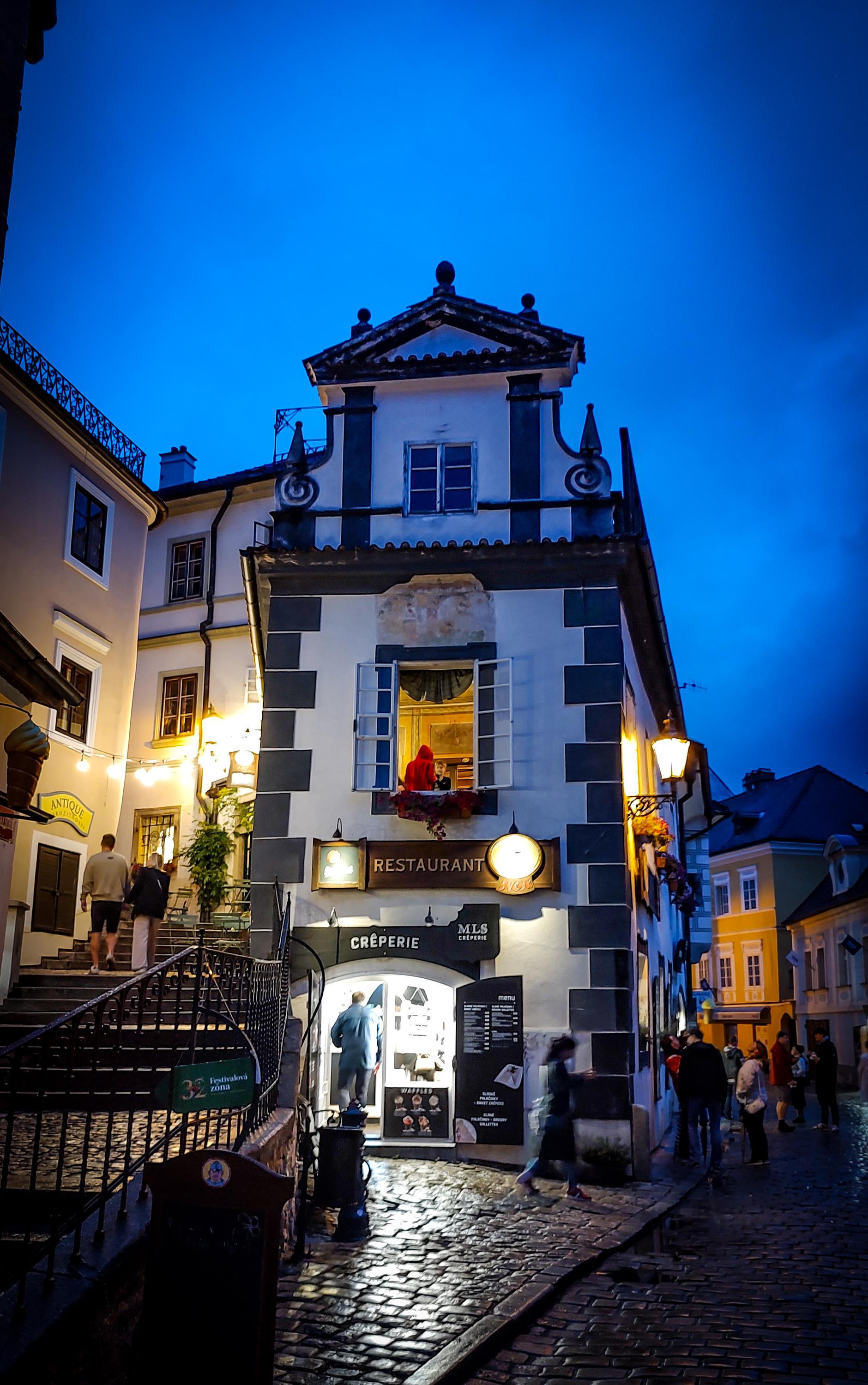 Švejk Restaurant foto 2