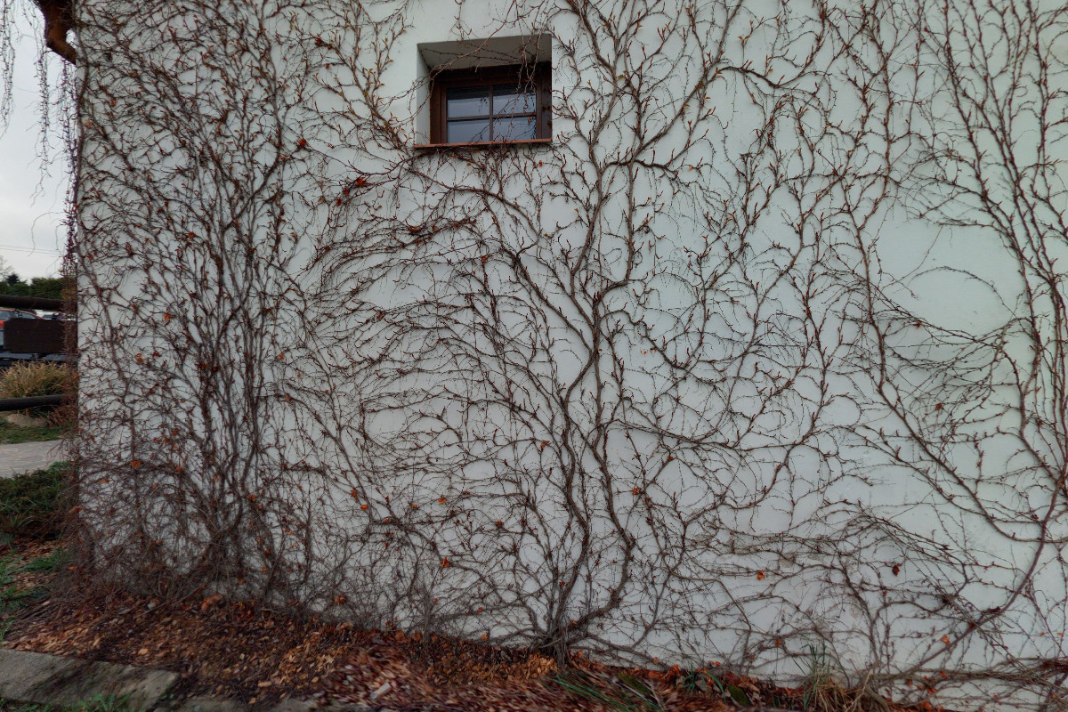 Lázně Mladina foto 6