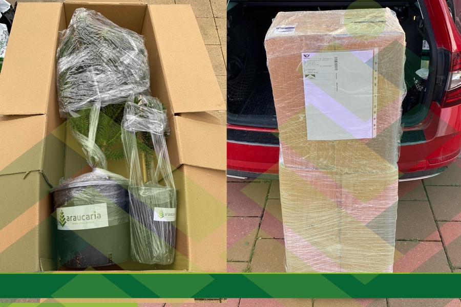 S balením to opravdu umíme!