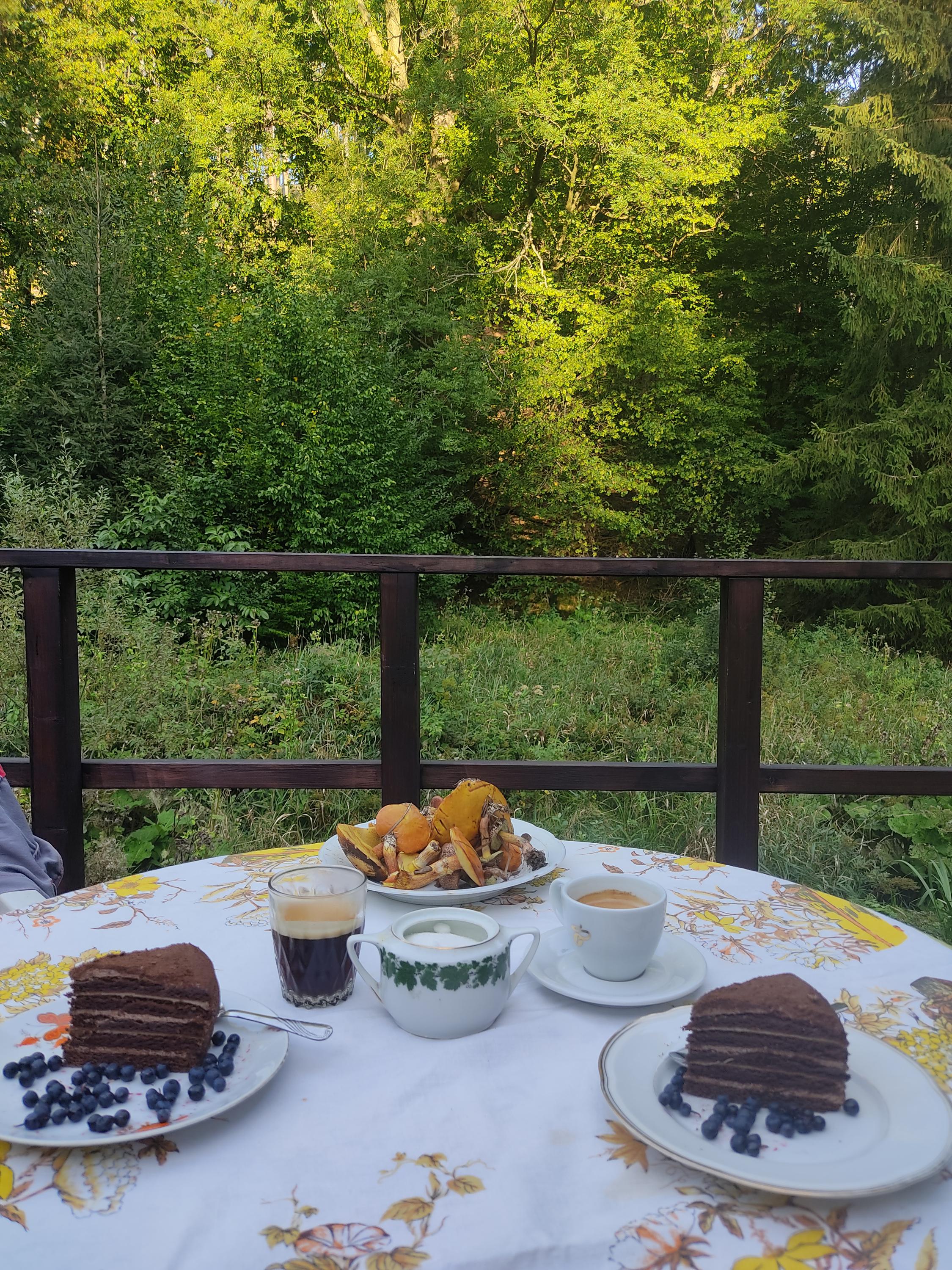 Chalupa pod Sněžnou foto 5