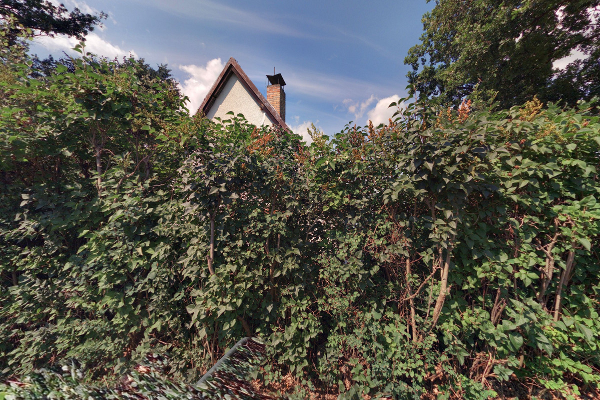 Ubytování Žabovřesky 84