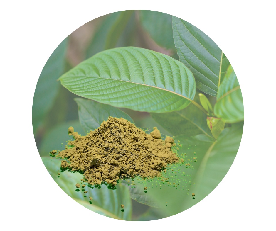 GREEN Healthy Balance by RK foto 2