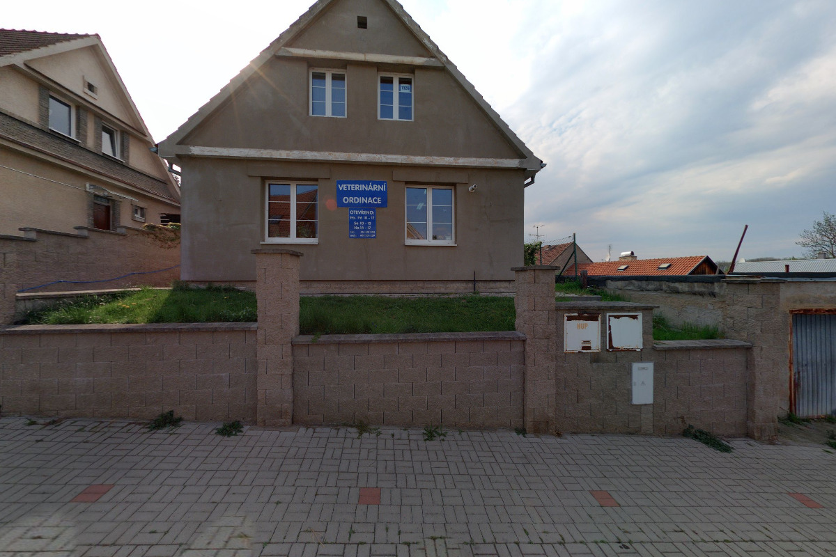 MVDr. Blanka Tešnarová foto 2