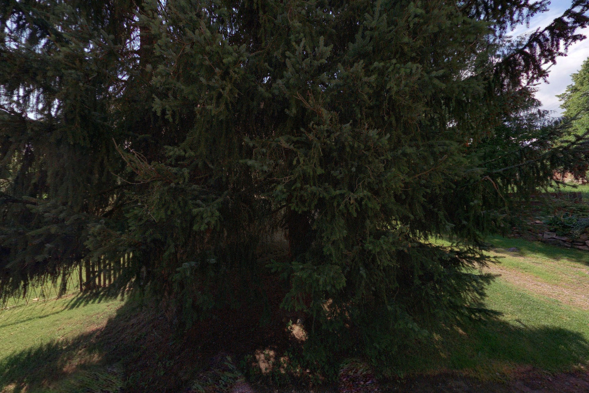 Rodinný penzion U Jezevce foto 2