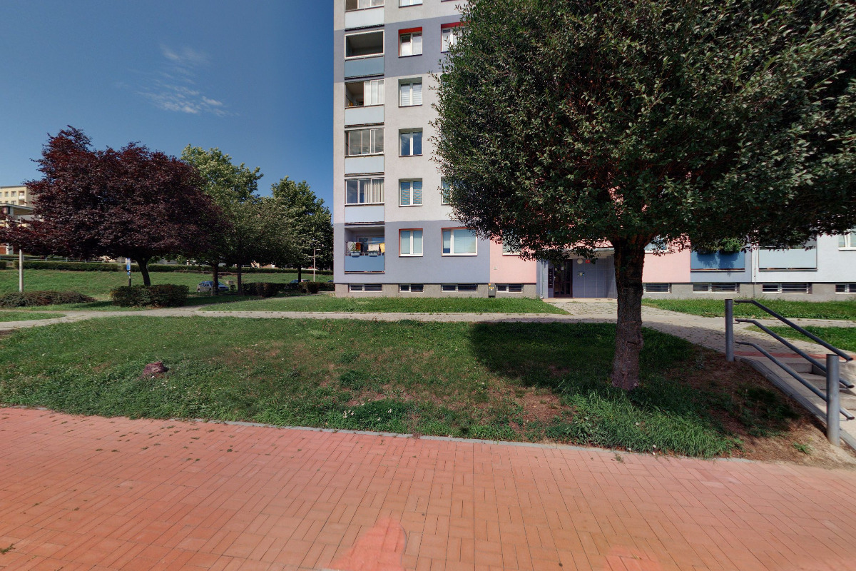 PhDr. Jana Gebauerová