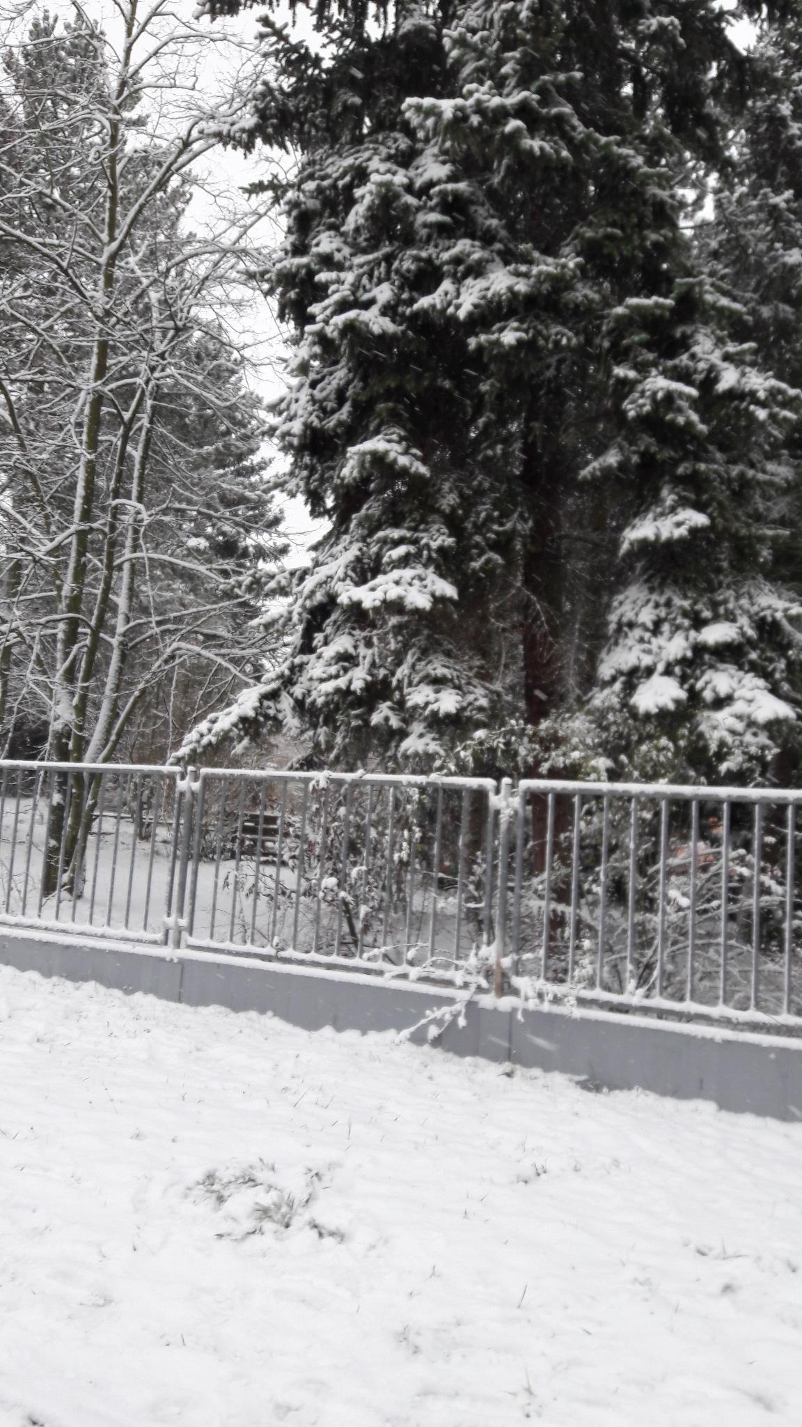 15. ZŠ Plzeň foto 3