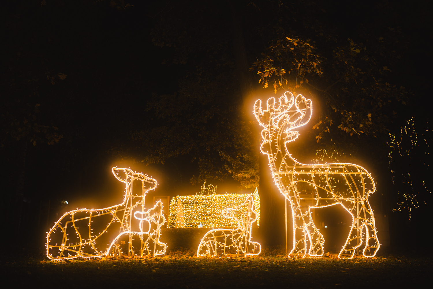 Světla vyprávějí foto 3