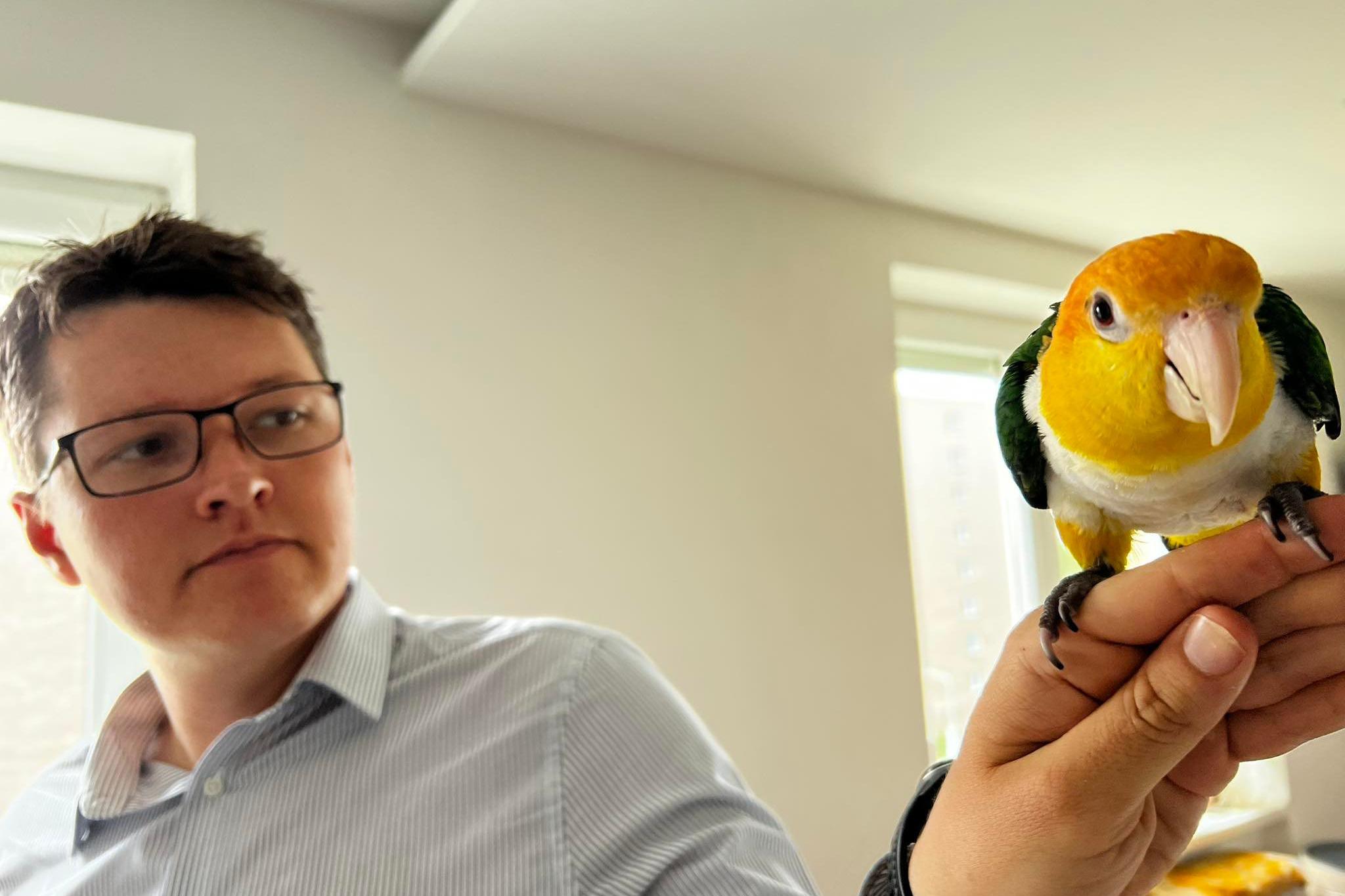 Michal Sekyra - mobilní masérské služby