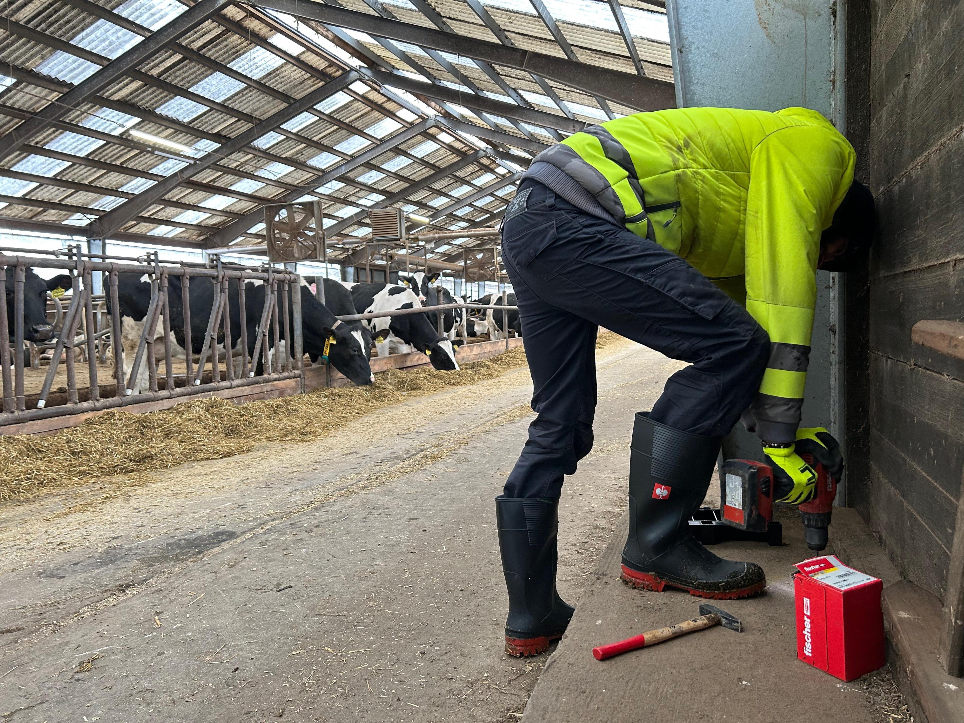 Deratizace/dezinsekce Jindřich Stránský foto 3