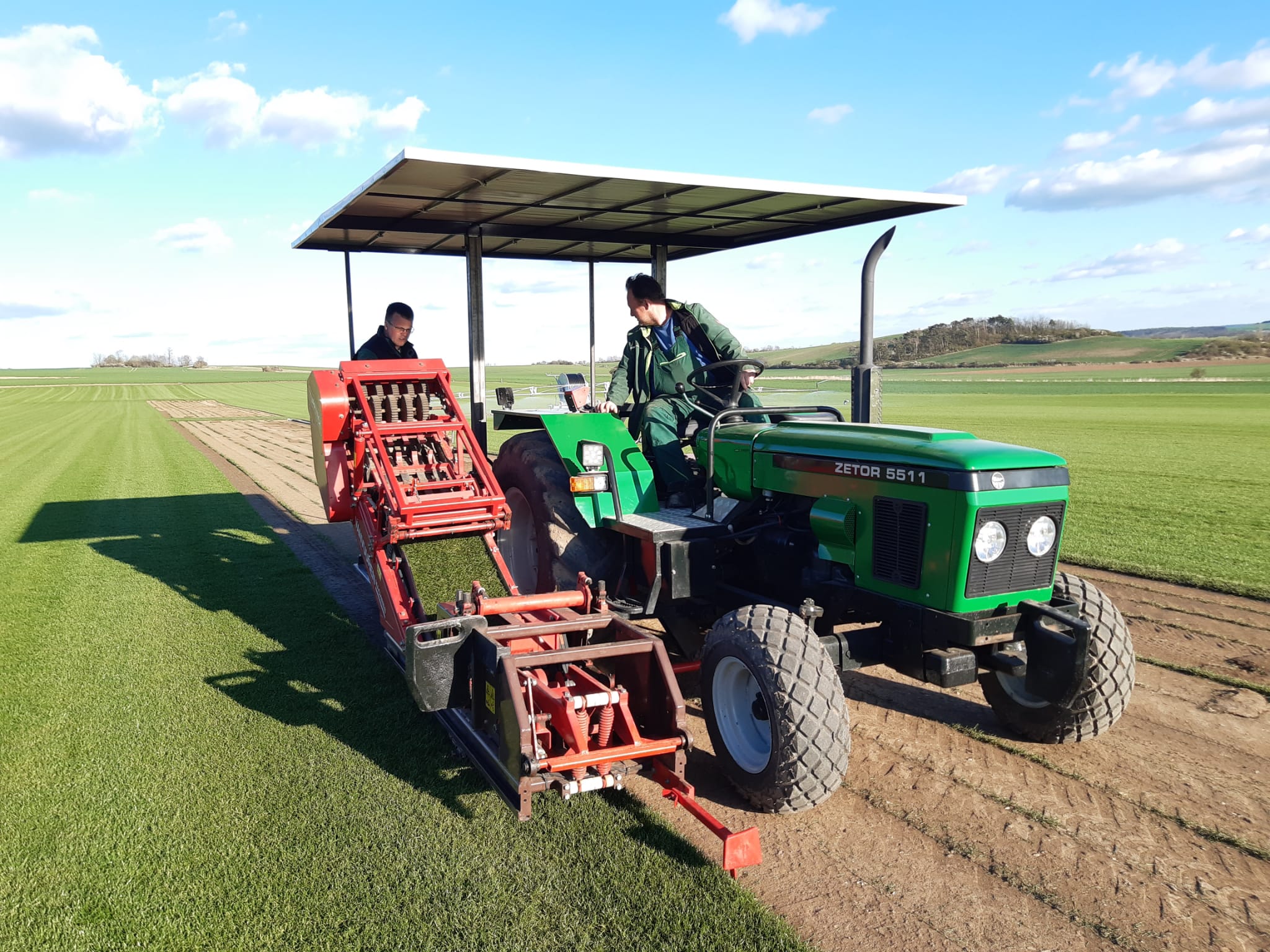 Trávníkové koberce Novotný foto 2