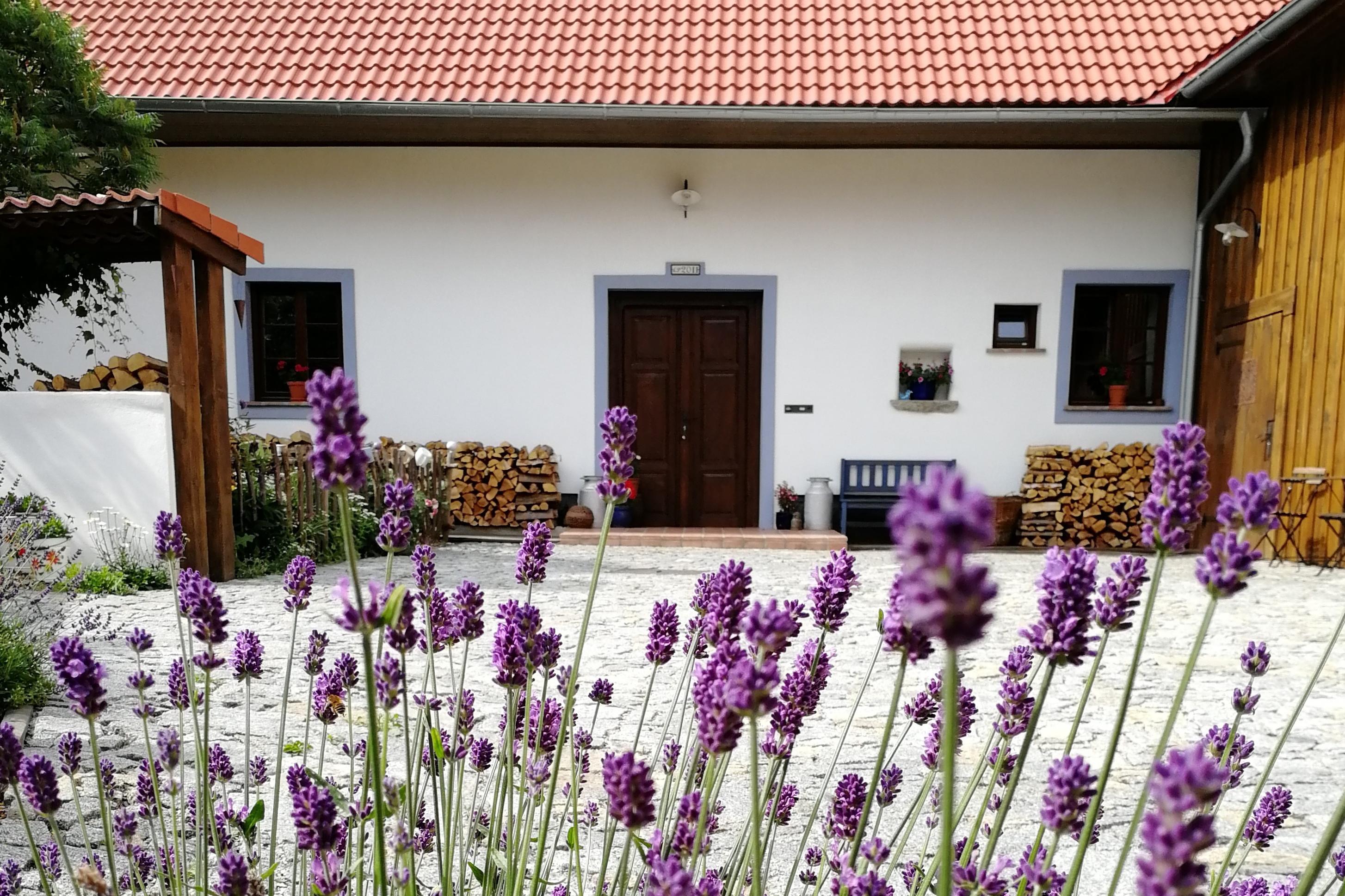 Ubytování na venkově v chalupě U Vysaty, Šumava