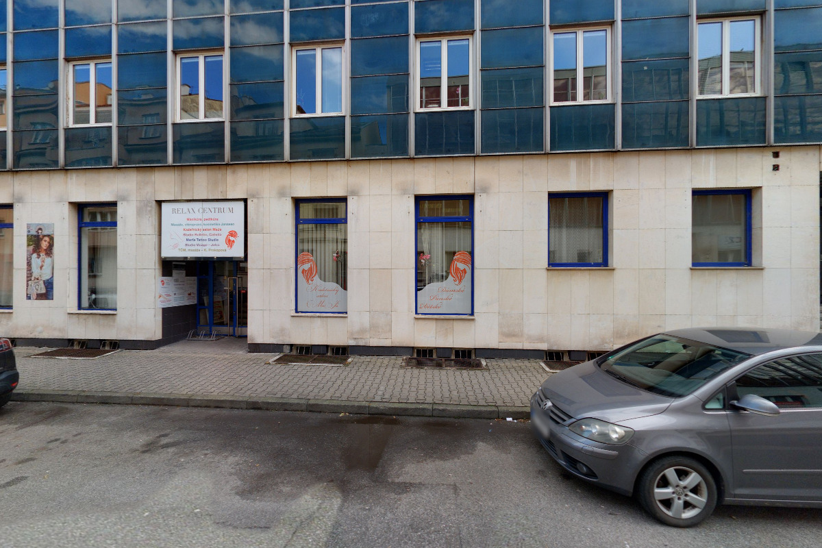 Tereza Vlachová, překlady a tlumočení