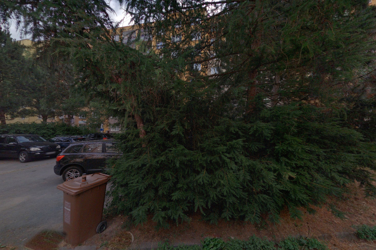 Výuka angličtiny Myles John O`Toole foto 2