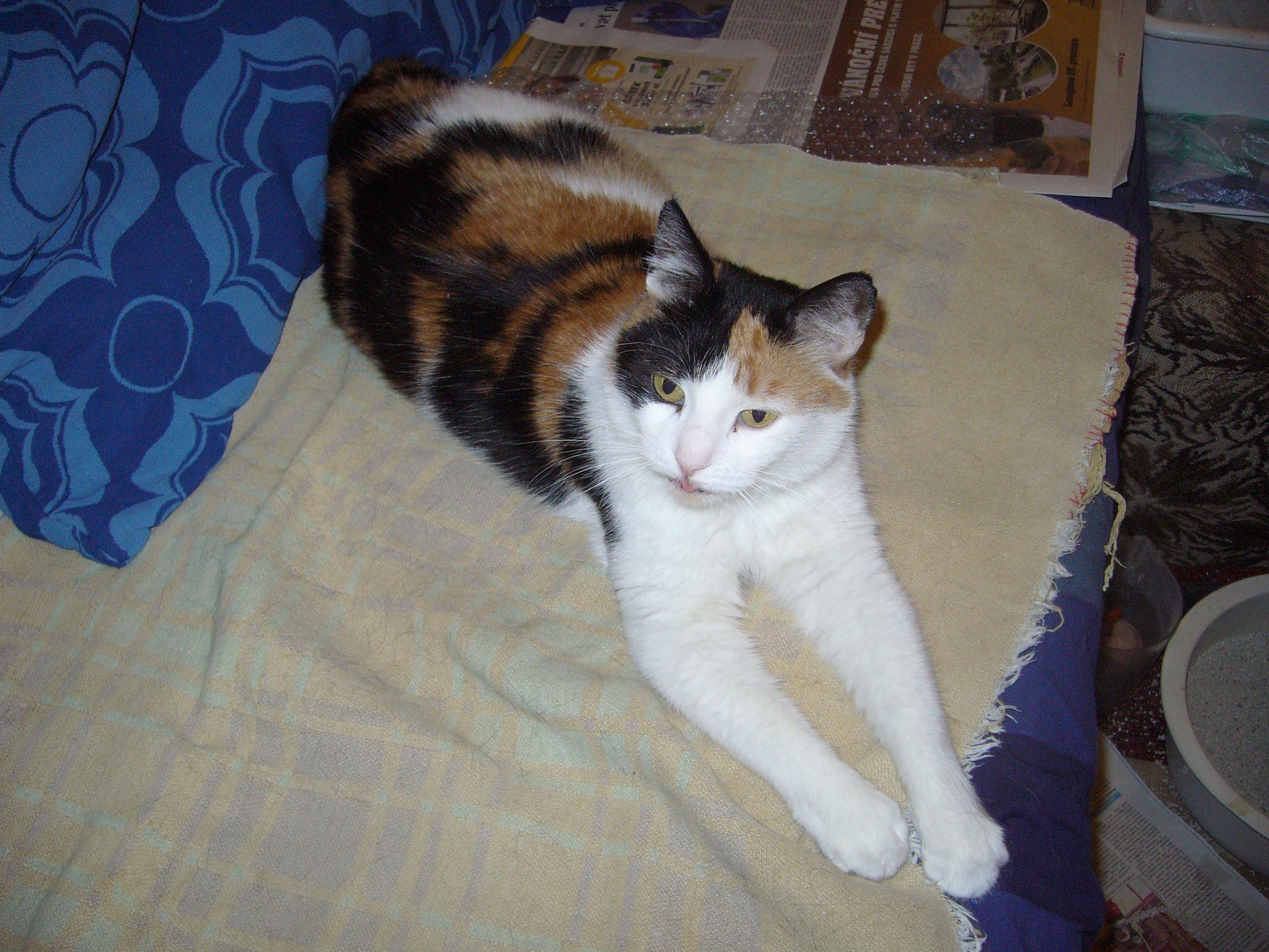 Domov pro seniory Okružní foto 3