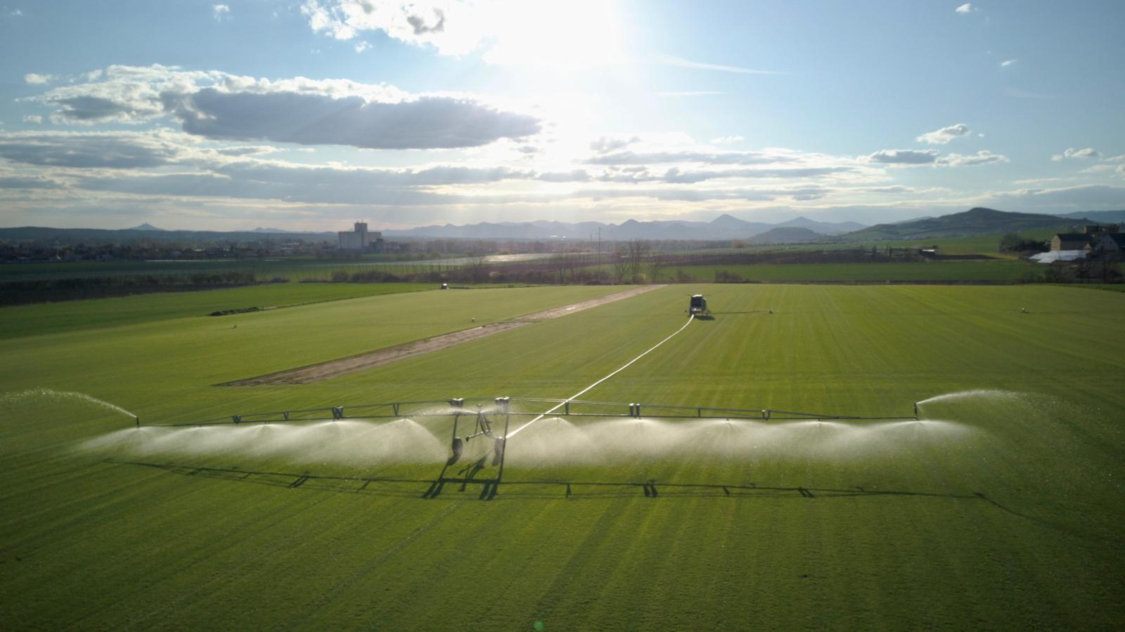 Trávníkové koberce Novotný foto 3