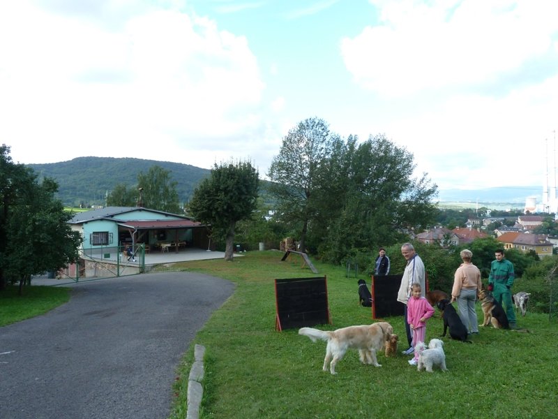 ZKO Trmice - Újezd (Český kynologický svaz ZKO Trmice - Újezd - 698) foto 2