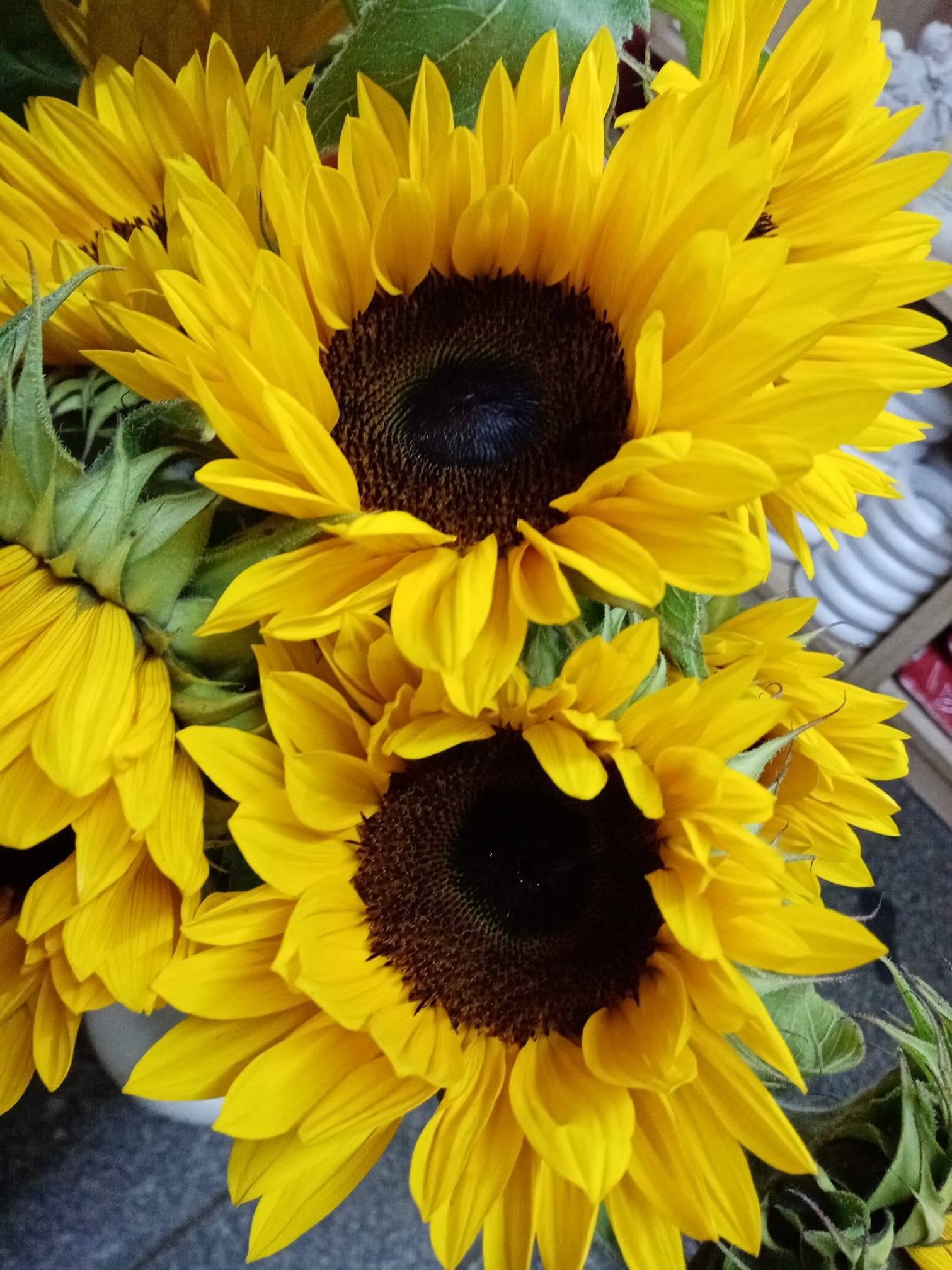 Květinářství Jana Volšanská foto 1