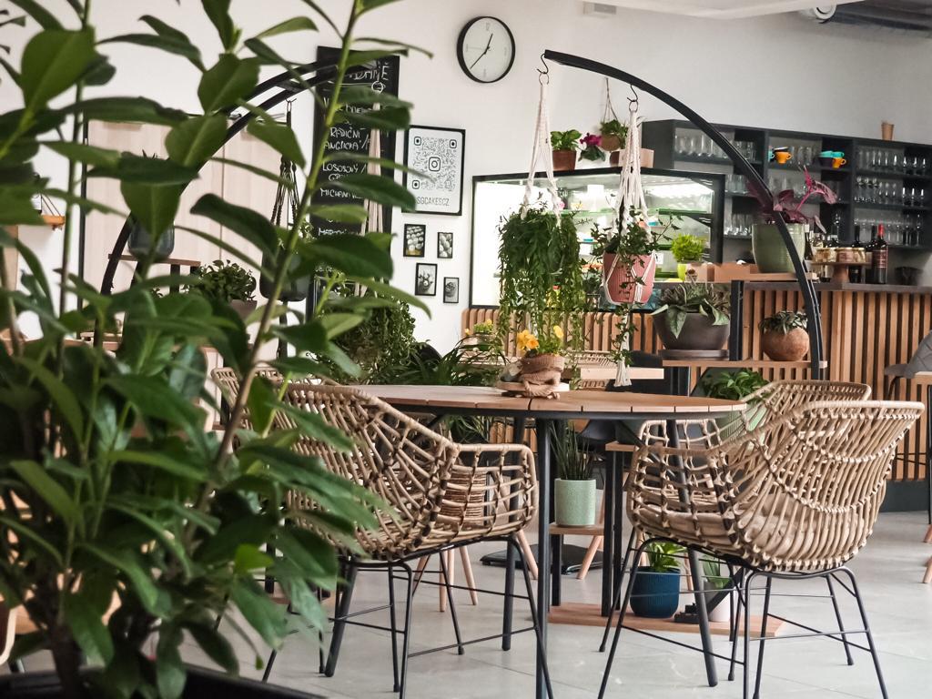 United kavárna v zahradě foto 2