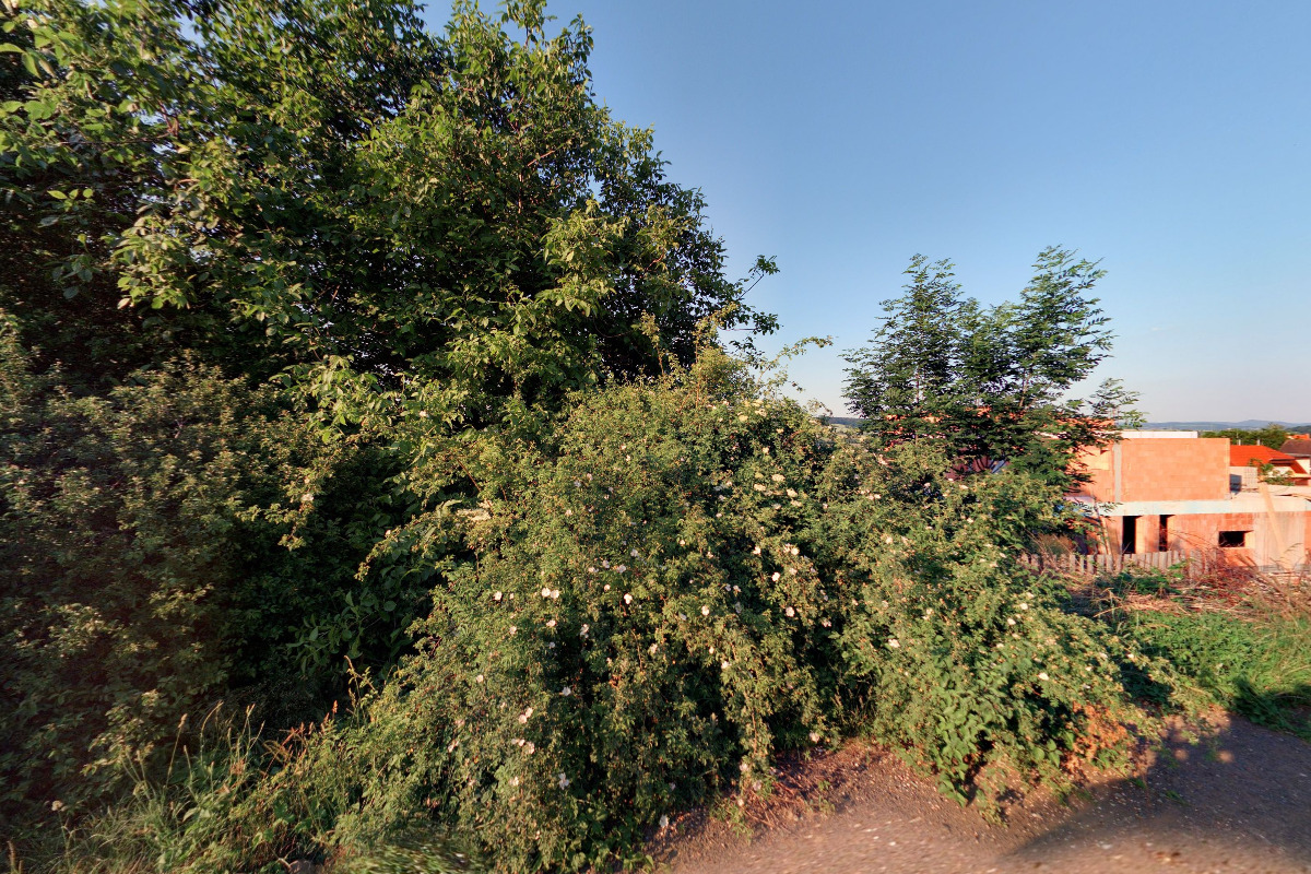 Administrační služby Michala Kadounová