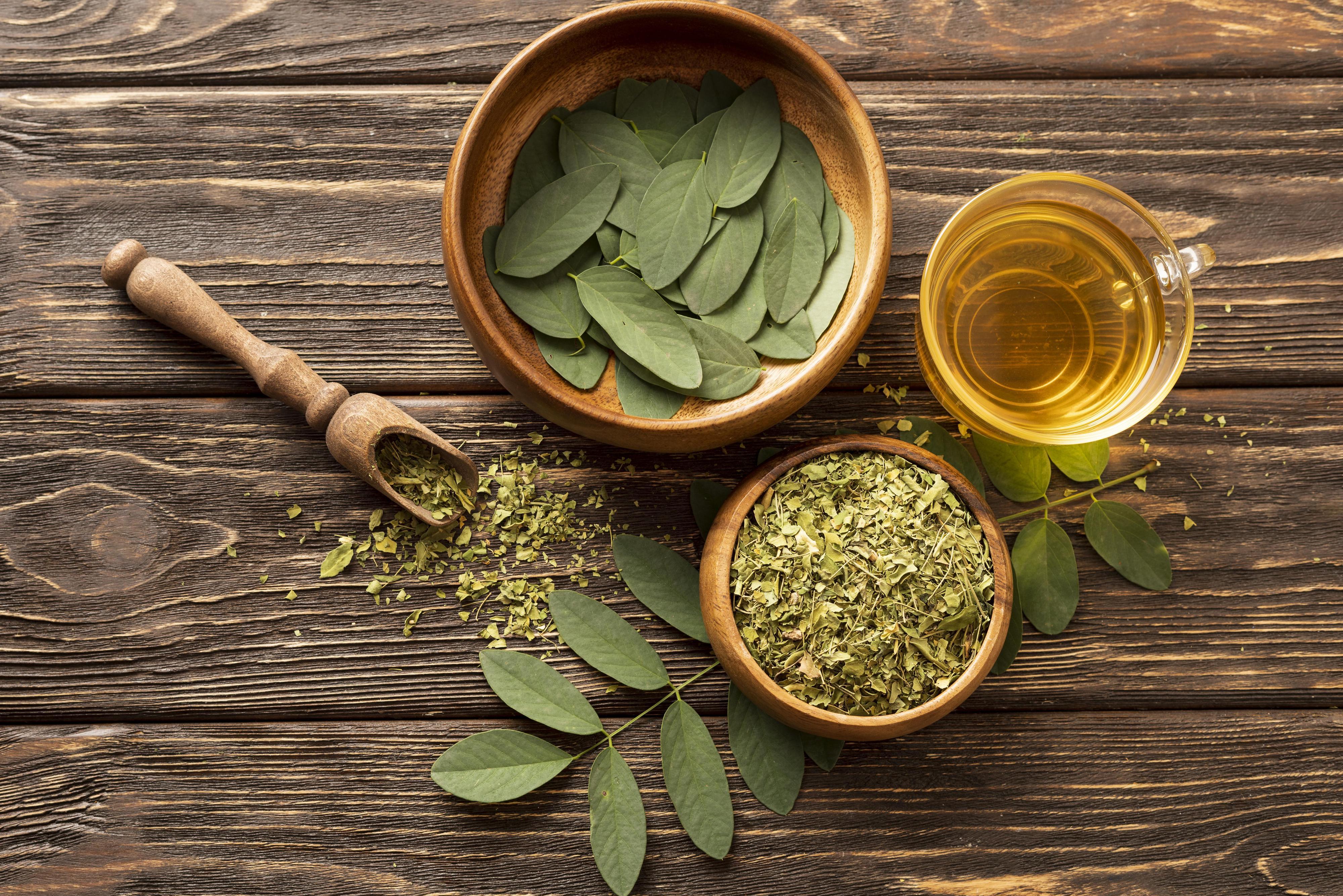 Ing. Jana Arltová - poradenství v oblasti celostní medicíny