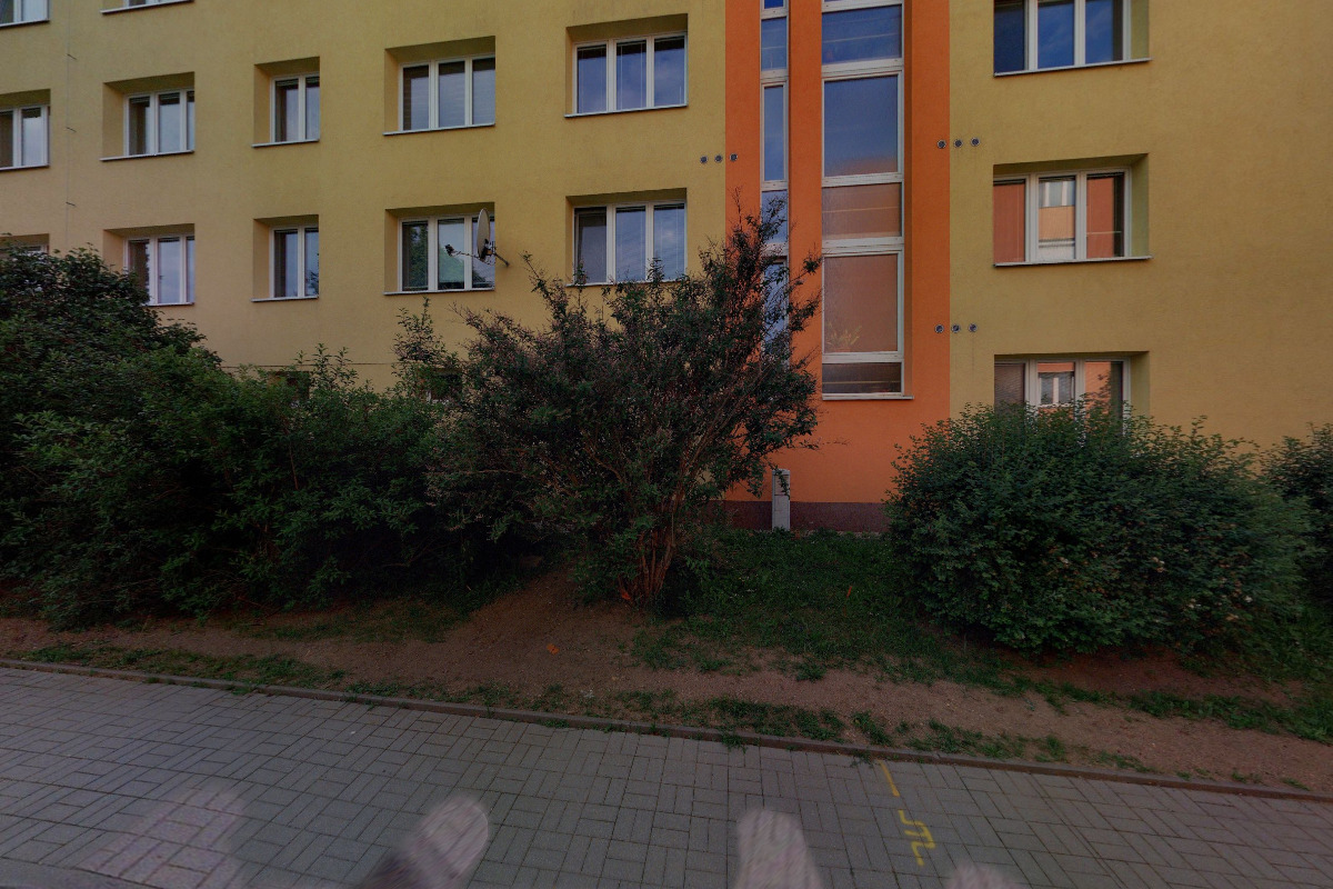 taxi profi foto 5