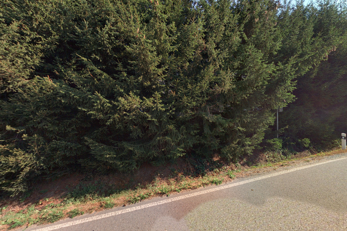 MASOZÁVOD PETRÁVEČ, s.r.o.